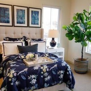 A beautifully decorated bedroom with a navy floral bedspread, potted plant, and framed artwork on the walls.