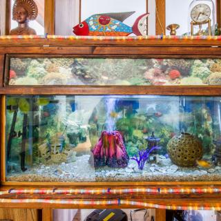 A colorful aquarium with a variety of decorations and vibrant underwater scenery.