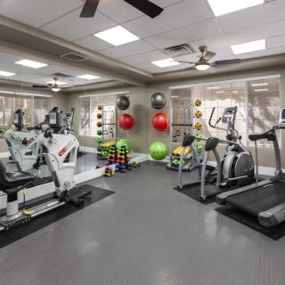 A well-equipped gym with treadmills, weight machines, stability balls, and a rack of dumbbells.