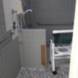 An accessible bathroom with a shower setup designed for mobility assistance.