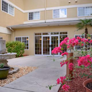 A charming courtyard with a fountain and vibrant bougainvillea flowers.