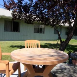 A sunny outdoor patio area with a wooden round table and chairs, set against a grassy yard and a building in the background.