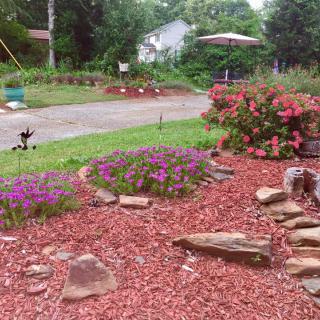 A landscaped garden with flowers, red mulch, and decorative stones.