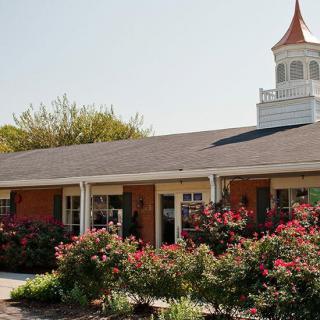 A charming building with a pointed roof tower surrounded by vibrant flowering bushes in the garden.