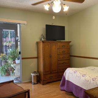A cozy bedroom featuring a wooden dresser with a TV on top, a bed with a quilt, and sliding glass doors leading to a space with indoor plants.