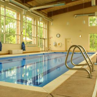 A serene indoor swimming pool surrounded by large windows, allowing natural light to filter in.