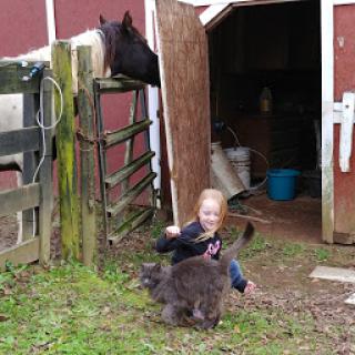 A child playing with a cat near a barn, with a horse in the background.
