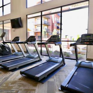 A bright gym featuring a row of treadmills facing large windows.