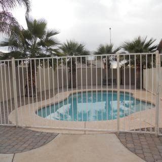A small outdoor pool surrounded by a safety fence and palm trees.