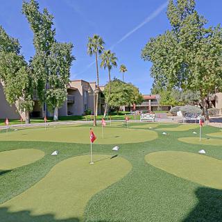 An outdoor putting green surrounded by trees on a sunny day.