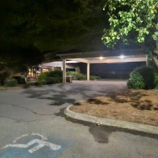 A quiet parking lot at night, illuminated by soft lights amidst greenery.