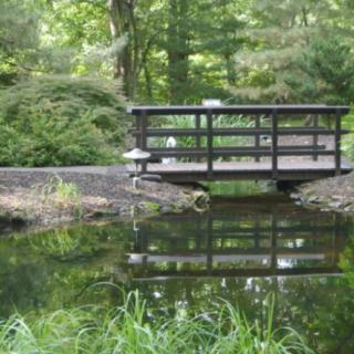 A serene pond with a wooden bridge reflecting in the calm water.