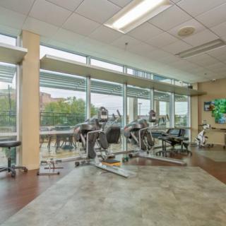 A bright and modern gym with treadmills facing large windows.