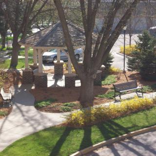 A sunny day in a park with benches, pathways, and trees.