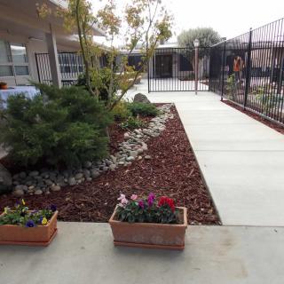 A landscaped garden area with a pathway and planters.