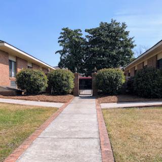 A serene view of a pathway leading to apartment units, framed by lush greenery and bright blue skies.