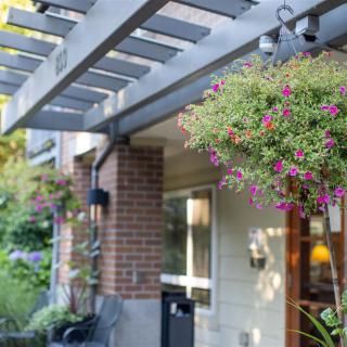 A cozy house entrance featuring a pergola with a vibrant hanging flower basket.