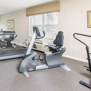 A well-equipped gym featuring various exercise equipment for cardio workouts.