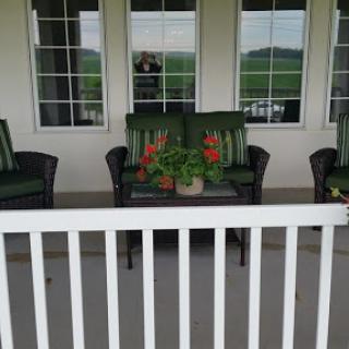 A cozy porch setup with green seating and vibrant plants, perfect for relaxation.