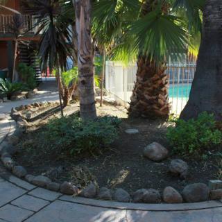 A garden area with palm trees beside a swimming pool, enclosed by a fence.