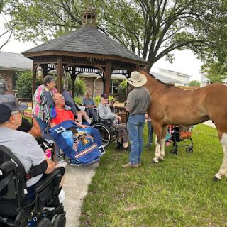 Residents gather for a community event featuring a friendly horse.