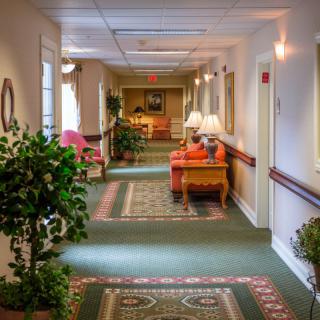 A brightly lit hallway adorned with plants, carpet, and lamps on side tables.