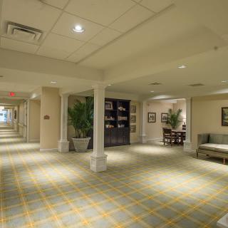 A spacious, well-lit hallway with carpeted flooring and decorative elements including plants and seating.