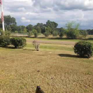 A serene outdoor landscape featuring lush grass, bushes, and a cloudy sky.