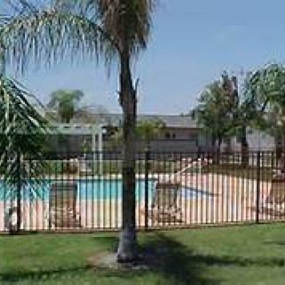 A fenced swimming pool surrounded by palm trees and grass on a sunny day.