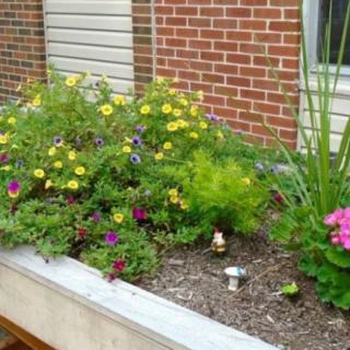 A vibrant flower bed with a variety of colorful blooms against a brick wall.