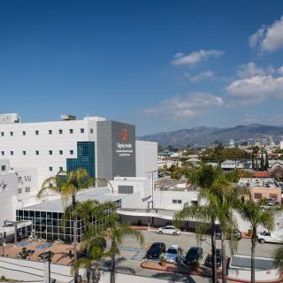 A modern hospital building with a cityscape background and palm trees in the foreground.