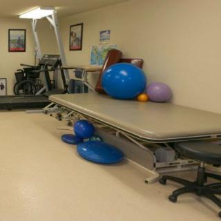 A physical therapy room equipped with a treadmill and various exercise balls.