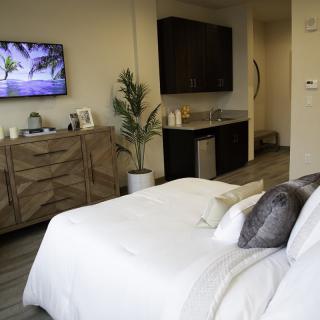 A modern and minimalist bedroom featuring a comfortable bed, wall-mounted TV, wooden dresser, and a decorative plant.