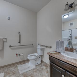 A modern bathroom with accessibility features, including grab bars beside the toilet and a clean sink area.