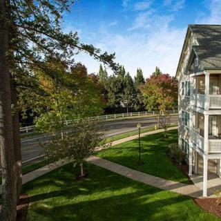 A scenic view of a residential building surrounded by lush greenery and a clear blue sky.