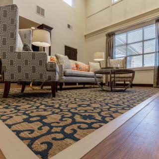 A cozy living room with modern furniture and a decorative rug.