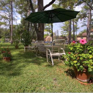 An inviting garden setup with outdoor seating under a large umbrella, surrounded by lush greenery and vibrant flowers.