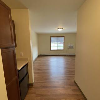 Empty apartment hallway leading to a living area with wood flooring and a window.