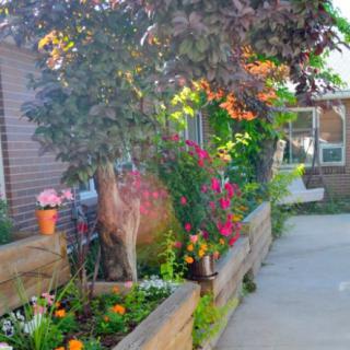 A vibrant garden with various flowers lining a wooden planter along a walkway.