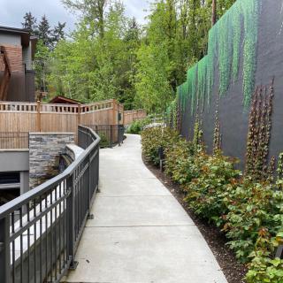 A scenic outdoor pathway surrounded by greenery and fenced on one side.