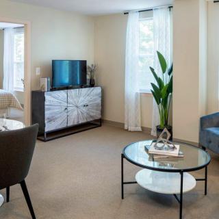 A cozy living room with a modern design featuring a TV, coffee table, and indoor plant.