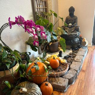 A serene corner decorated with a Buddha statue, vibrant orchids, and seasonal pumpkins.