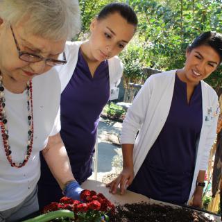 Healthcare workers assist an elderly woman with gardening outdoors.