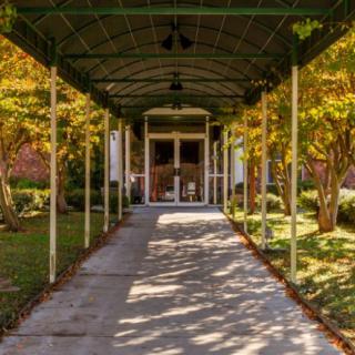A covered walkway surrounded by autumn trees and filtered sunlight.