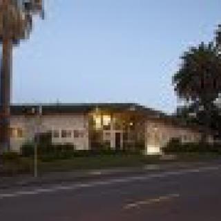 A building with illuminated windows at dusk surrounded by palm trees.