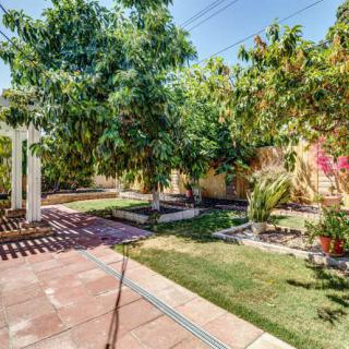 A sunny backyard garden with lush trees and well-maintained grass.