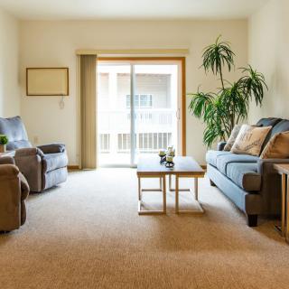 A cozy, well-lit living room with sofas, a coffee table, and green plants by a sliding door.