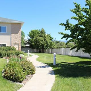 A well-maintained yard with a curving pathway, surrounded by lush greenery and trees, on a sunny day.