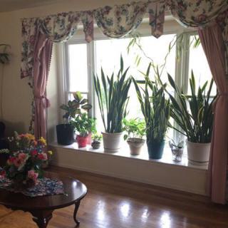 A cozy living room features a bay window adorned with potted plants and floral curtains, alongside a wooden table with decorative elements.