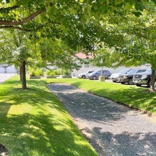 A shaded pathway surrounded by green grass and trees, with parked cars in the background on a sunny day.
